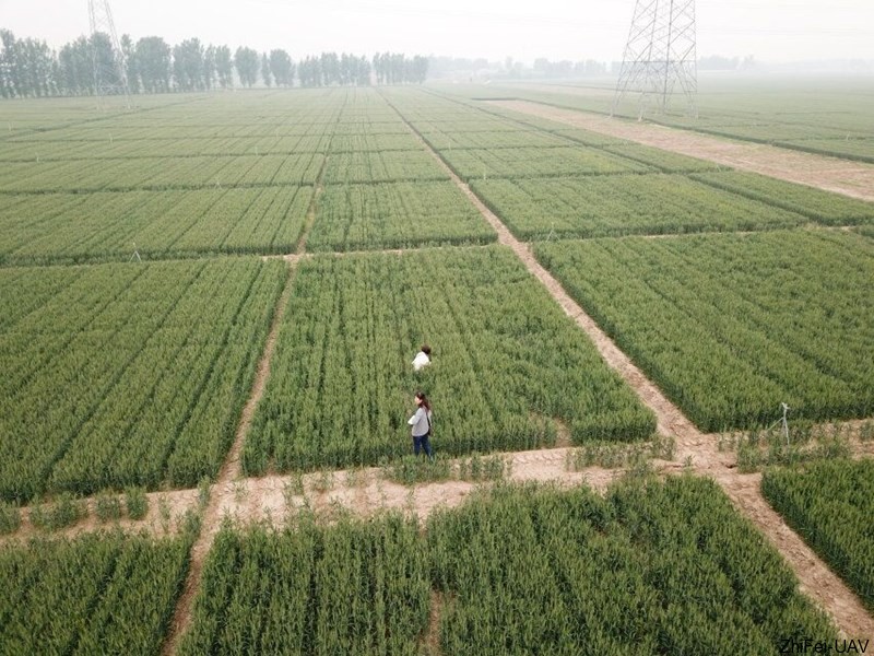 河北智飛極農(nóng)無人機科技|一鳶科技|行業(yè)定制無人機