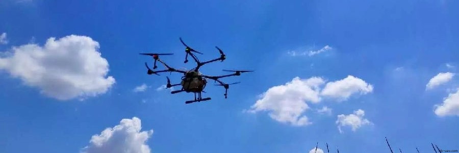 內(nèi)蒙古玉米紅蜘蛛蟲害大爆發(fā) 農(nóng)民從此相信無人機(jī)！