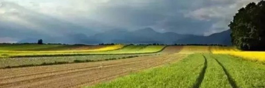 2017年農(nóng)業(yè)補(bǔ)貼申請已經(jīng)開始，這30個(gè)項(xiàng)目都可以拿到國家補(bǔ)貼